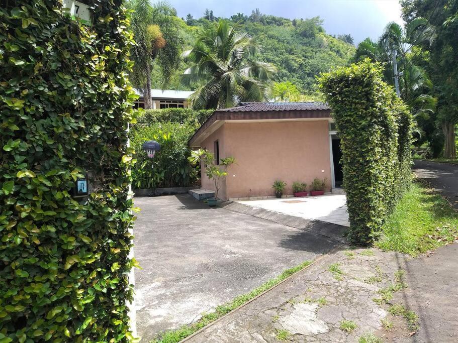 Vacation House In Tahiti بوناويا المظهر الخارجي الصورة